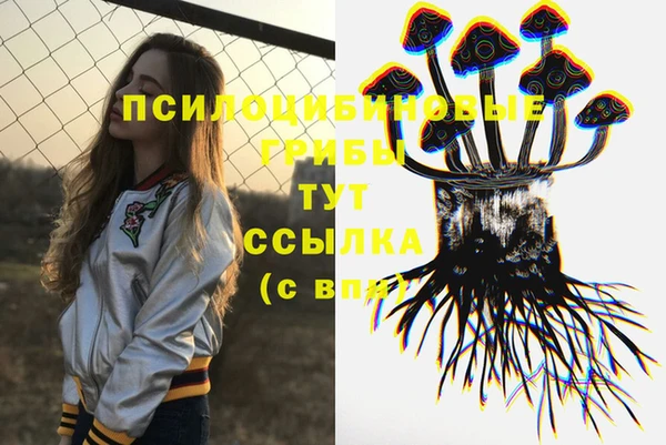 твердый Нязепетровск
